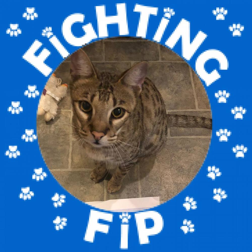 Meet your Posher, Vicki